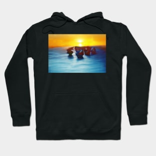 boats Hoodie